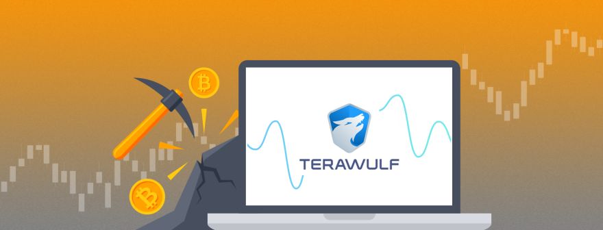 TeraWulf, готуючись до халвінгу, нарощує хешрейт