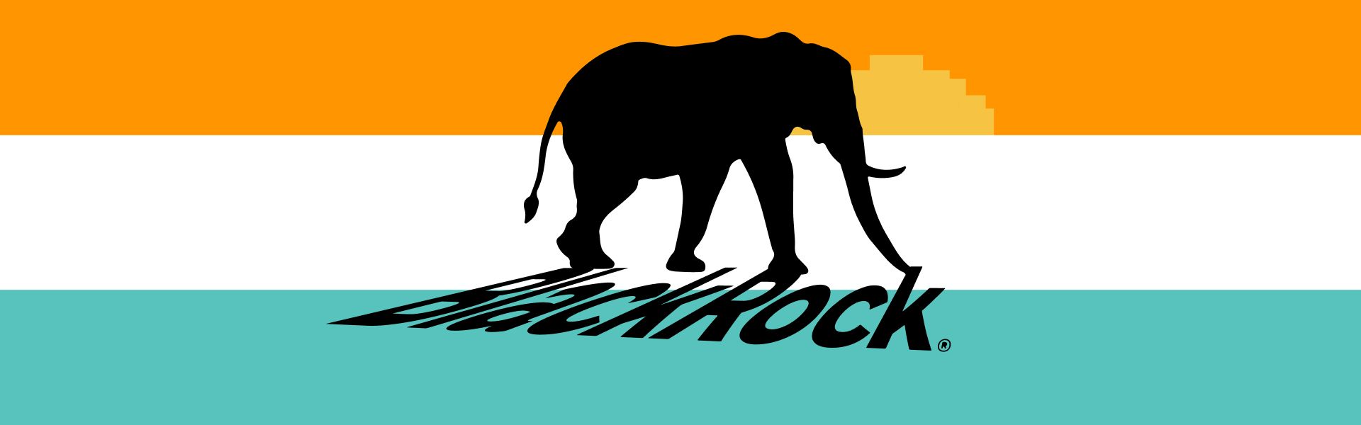 BlackRock поділилася «цифровими» планами щодо Індії